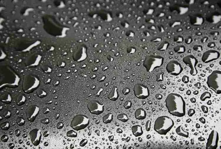 La mejor cera en aerosol para autos negros