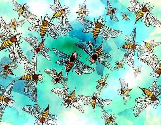 how to get bugs off car with dryer sheets