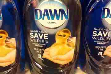 Can I use Dawn to Wash my Car?