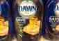 Can I use Dawn to Wash my Car?