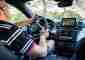 How to Unlock a Steering Wheel