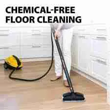 Wagner Spraytech 0282014 915 Steam Cleaner ? A Review