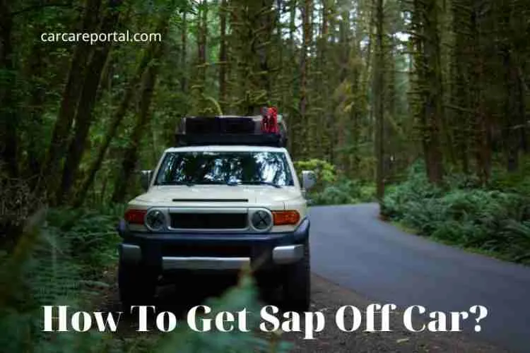 How To Get Sap Off Car? Tips for Removing Hardened Sap 2022