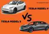 Tesla Model 3 vs Model Y: Most Basic Difference 2022?