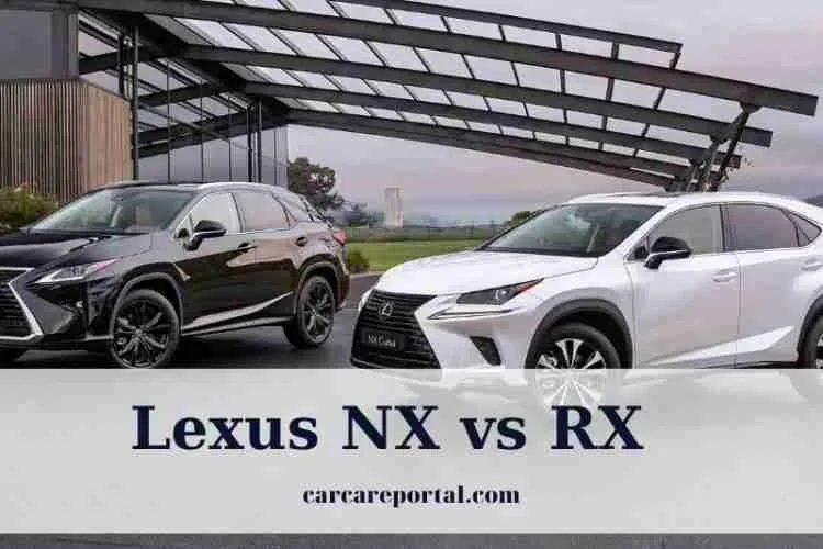 Lexus NX vs RX Luxury SUV: What's The Difference? 2022