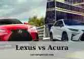 Lexus vs Acura: What Is Difference? Tips New 2022