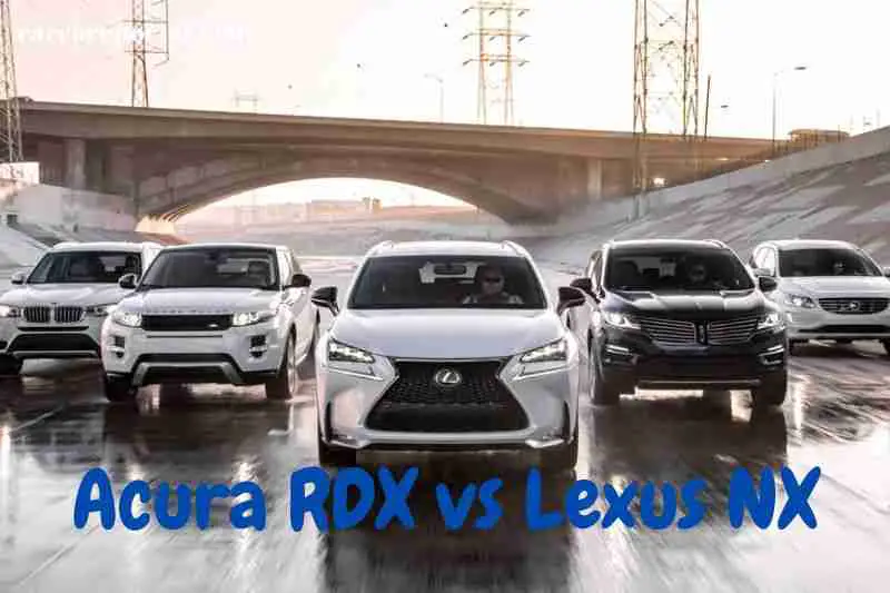 Lexus NX vs Acura RDX: Interior Features