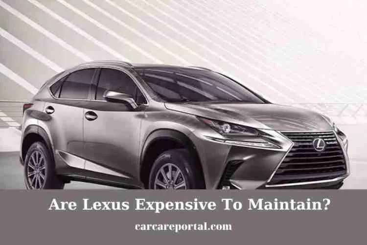 Are Lexus Expensive To Maintain? Tips New 2023
